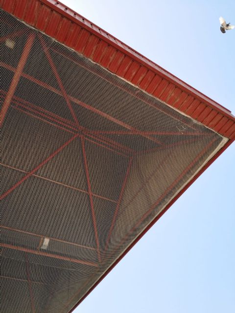 Obras de mejora en las instalaciones del polideportivo municipal de Alcantarilla - 5, Foto 5