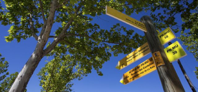 Trabajos de mantenimiento en la Red de Senderos de Bullas - 1, Foto 1