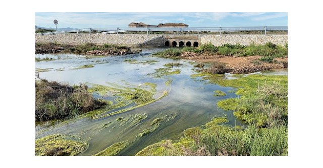 Foto Pacto por el Mar Menor. Entrada de aguas contaminadas en el Mar Menor procedente del acuífero. Febrero 2020, Foto 1