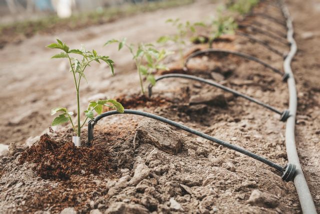 Projar inicia un estudio sobre el manejo del riego mediante equipos de medición de alta tecnología - 3, Foto 3