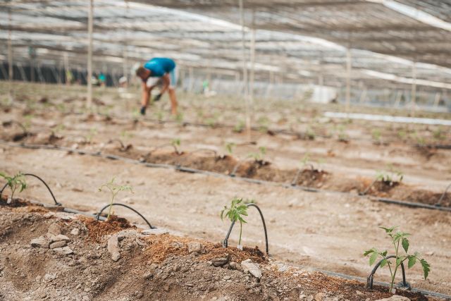Projar inicia un estudio sobre el manejo del riego mediante equipos de medición de alta tecnología - 4, Foto 4