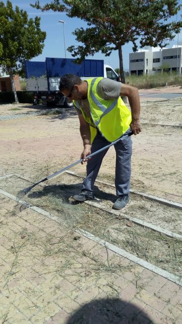 7 personas contratadas en Empleo Público Local trabajan en el mantenimiento de parques y jardines - 4, Foto 4