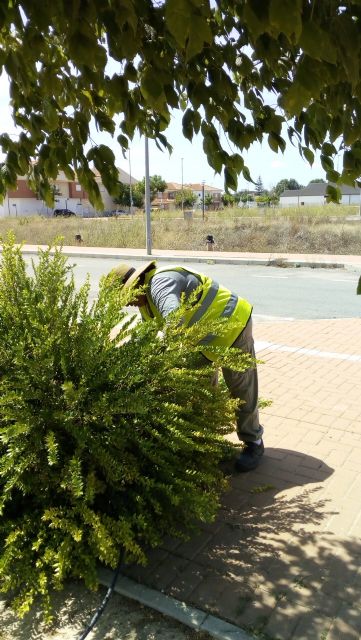 7 personas contratadas en Empleo Público Local trabajan en el mantenimiento de parques y jardines - 5, Foto 5