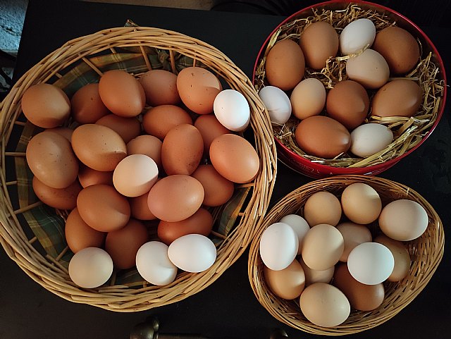 ¿Cuántos huevos se consumen en la Región de Murcia? - 1, Foto 1