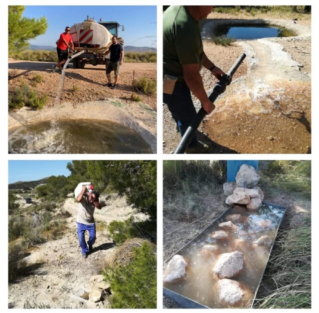 VOX Cieza muestra su apoyo al sector de la caza al tratarse de “una actividad esencial de nuestro medio natural” - 1, Foto 1