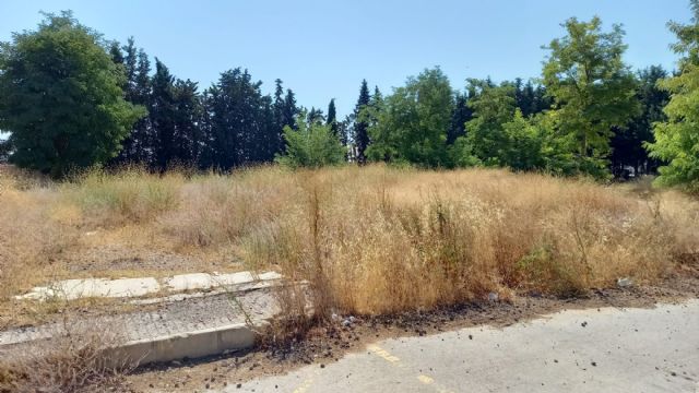 El PSOE de Cehegín pide la limpieza de los solares municipales - 1, Foto 1