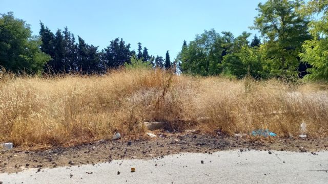 El PSOE de Cehegín pide la limpieza de los solares municipales - 2, Foto 2