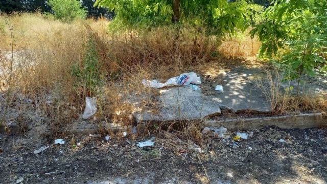 El PSOE de Cehegín pide la limpieza de los solares municipales - 3, Foto 3