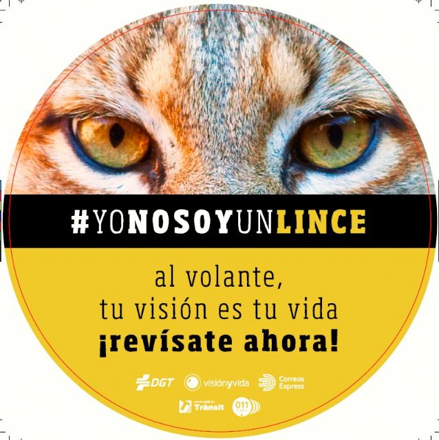 Yo no soy un lince, Visión y Vida - 1, Foto 1