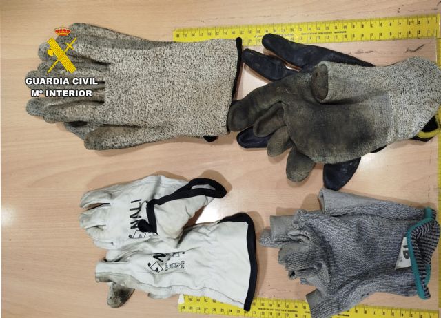 La Guardia Civil desmantela un grupo delictivo que robaba en casas de campo de Mula - 2, Foto 2