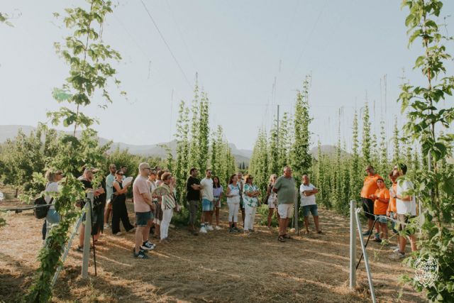 Fusión de gastronomía, turismo y cultura en la celebración de la ´Semana del Lúpulo´ de Caravaca - 1, Foto 1