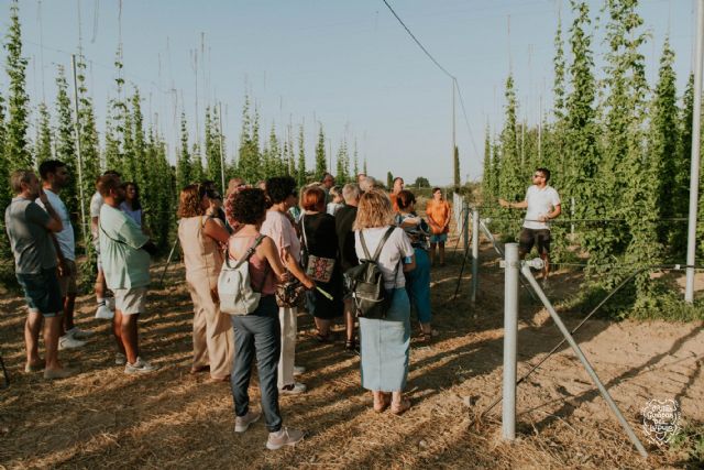 Fusión de gastronomía, turismo y cultura en la celebración de la ´Semana del Lúpulo´ de Caravaca - 2, Foto 2