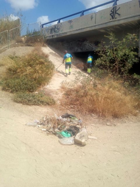 Fomento realiza una limpieza en profundidad de los alrededores del aparcamiento disuasorio del Malecón - 2, Foto 2