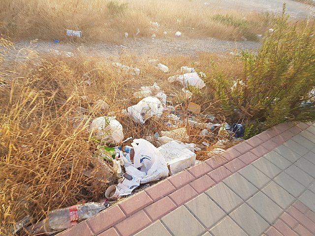 El PSOE reclama la limpieza de los márgenes de las principales avenidas y carreteras del municipio - 2, Foto 2
