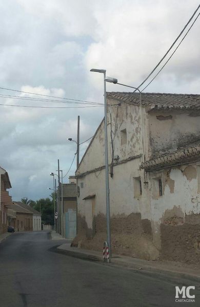 MC Cartagena denuncia la pasividad del Gobierno socialista en el Huerto de Cándido y propone medidas urgentes para salvar el centenar de especies vegetales que alberga - 4, Foto 4