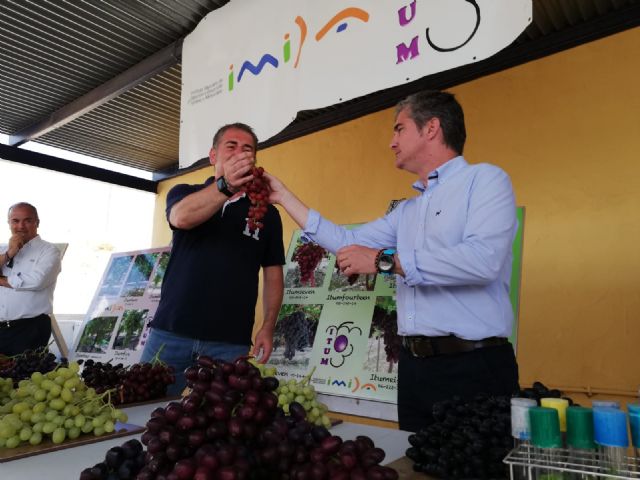 El programa de mejora en uva de mesa IMIDA-IT UM reúne en la Región a delegaciones agrícolas de Chile, Perú y Brasil - 1, Foto 1