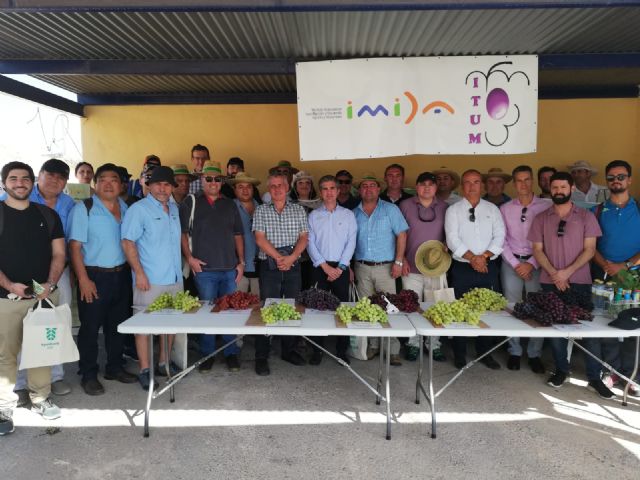 El programa de mejora en uva de mesa IMIDA-IT UM reúne en la Región a delegaciones agrícolas de Chile, Perú y Brasil - 2, Foto 2