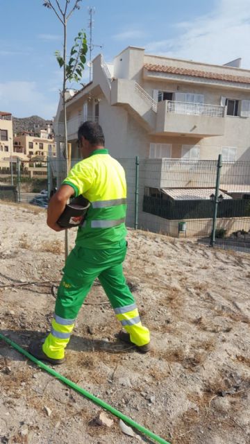 Más de medio centenar de árboles y 1500 flores son abonados con productos totalmente naturales - 1, Foto 1