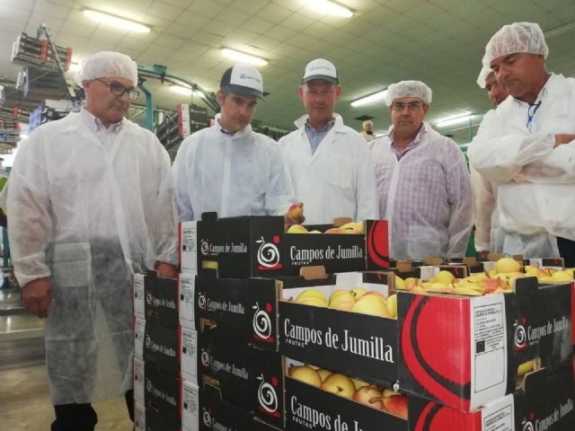 Cerca de un millón de kilos de peras de Jumilla se etiquetarán con el sello de Denominación de Origen Protegida este año - 1, Foto 1