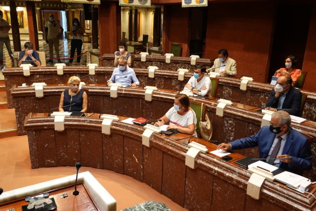 La Diputación Permanente acuerda celebrar una Junta de Portavoces el 1 de septiembre - 2, Foto 2