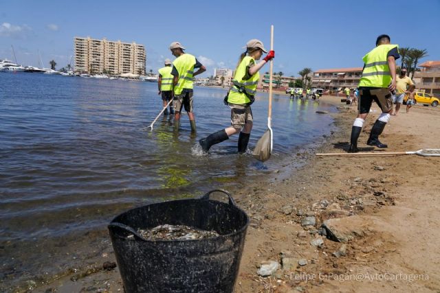 El Ayuntamiento cierra las playas desde Cala del Pino a Playa Honda para proceder a la limpieza y retirada de peces muertos - 1, Foto 1