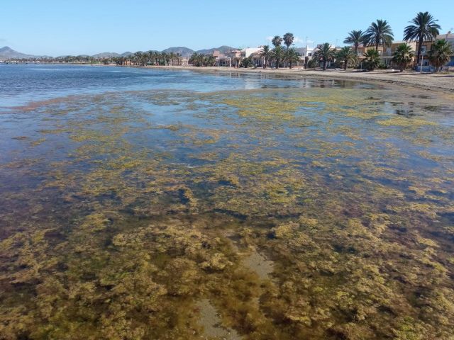 IU-Verdes pide al gobierno central que asuma todas las competencias ambientales en el Campo de Cartagena y Mar Menor - 1, Foto 1