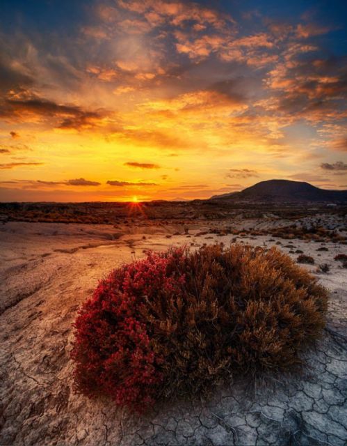 La Región de Murcia ya tiene en marcha la tercera edición del concurso fotográfico #MeGustaRegiónDeMurcia - 2, Foto 2
