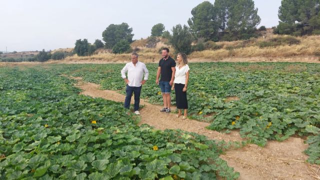 El Gobierno regional inicia el pago del segundo tramo de la ayuda a 228 jóvenes agricultores - 1, Foto 1