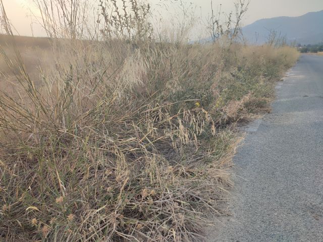 El PSOE denuncia la negligente gestión de Fulgencio Gil por el abandono del desbroce en Lorca en plena ola de incendios - 1, Foto 1