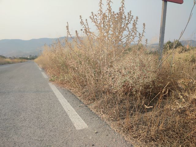 El PSOE denuncia la negligente gestión de Fulgencio Gil por el abandono del desbroce en Lorca en plena ola de incendios - 2, Foto 2