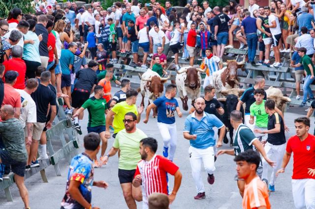 Calasparra presenta la programación oficial de la Feria y Fiestas 2026 - 2, Foto 2