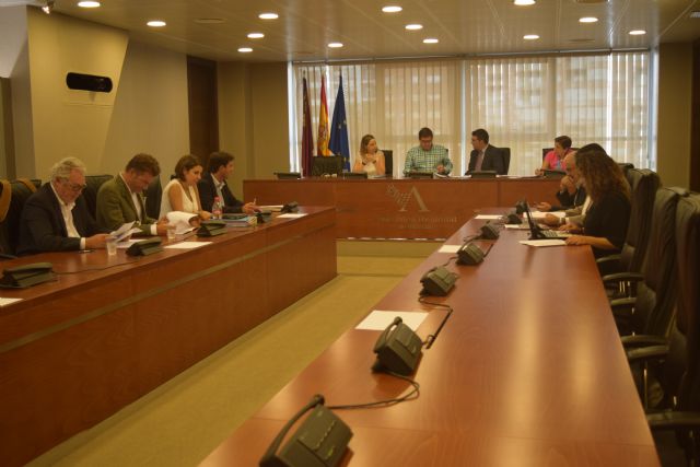 La Asamblea Regional impulsa el fomento del comercio electrónico entre las PYMES - 1, Foto 1