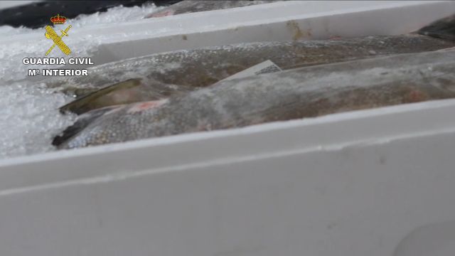 La Guardia Civil investiga a 7 personas por la intoxicación alimentaria por histamina en atún - 2, Foto 2