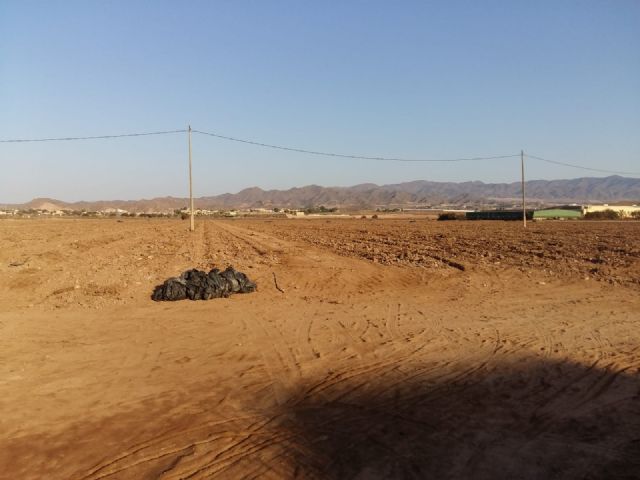 ASAJA Águilas reclama que se reconozcan a los agricultores como auténticos guardianes del medio ambiente - 1, Foto 1