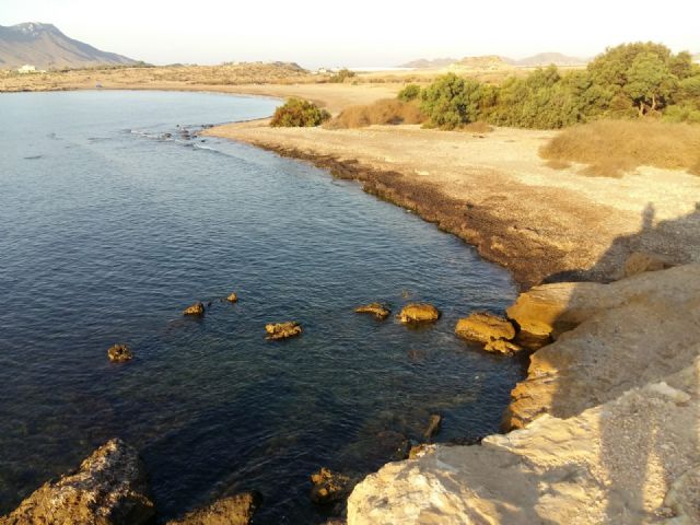 ASAJA Águilas reclama que se reconozcan a los agricultores como auténticos guardianes del medio ambiente - 3, Foto 3