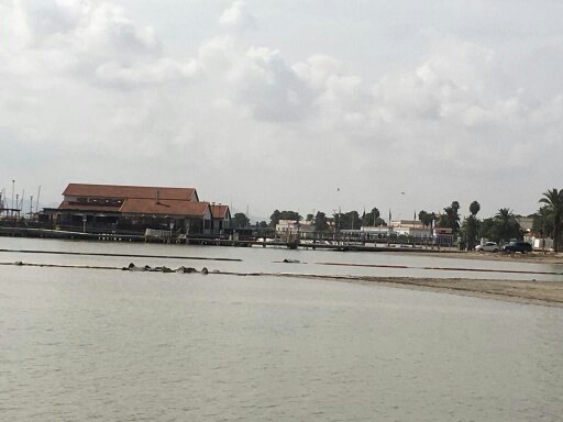 Estado de situación del episodio de inundaciones en la Región de Murcia - 5, Foto 5