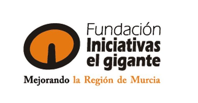 La Fundación Iniciativas El Gigante lanza acciones para voluntarios dentro de su programa de voluntariado - 1, Foto 1