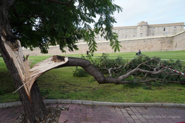 Cartagena recupera la normalidad tras casi un centenar de avisos por lluvia y viento - 2, Foto 2