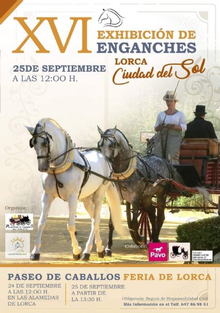Este próximo domingo, 25 de septiembre, se celebrará la XVI Exhibición de Enganches Lorca Ciudad del Sol - 1, Foto 1