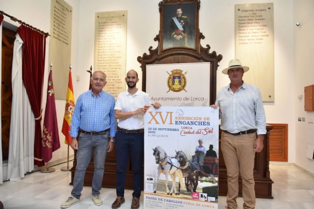 Este próximo domingo, 25 de septiembre, se celebrará la XVI Exhibición de Enganches Lorca Ciudad del Sol - 2, Foto 2