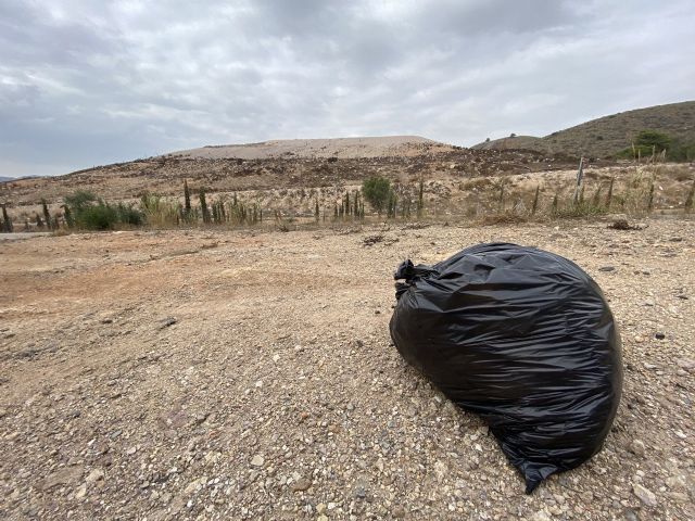 MC: El Tribunal de Cuentas informa que N. Arroyo (PP) le oculta información sobre Lhicarsa - 2, Foto 2