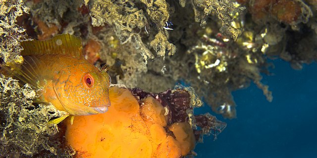 Foto: <a href=https://sp.depositphotos.com/ rel=nofollow target=_blank>Depositphotos</a>, Foto 1