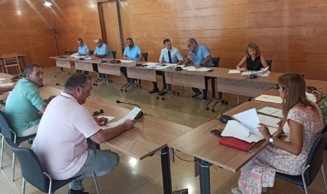 La Mesa Sectorial del Taxi aprueba la Ordenanza Reguladora del Servicio del Taxi - 1, Foto 1