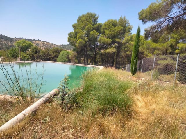 Medio Ambiente creará un reservorio de plantas aromáticas en el vivero forestal de Moratalla - 1, Foto 1