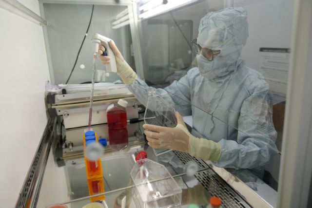 Una terapia de ´células madre con GPS´ logra reducir un 94% las fracturas por osteoporosis en un ensayo clínico - 2, Foto 2