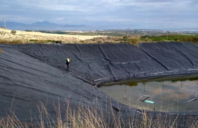 La Policía Local torreña rescata siete cachorros de perro atrapados en una balsa - 1, Foto 1