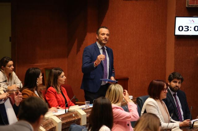 Joaquín Segado: El PP crea empleo para combatir la pobreza mientras el PSOE es especialista en hundir la economía y llevar la crisis a las familias - 1, Foto 1
