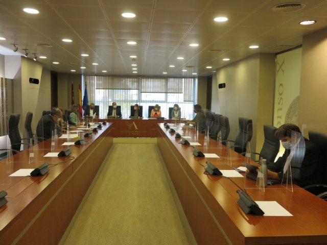 El alcalde pide una Ley de Financiación Local en el transcurso de la Comisión de Economía, Hacienda y Presupuesto de la Asamblea Regional - 3, Foto 3
