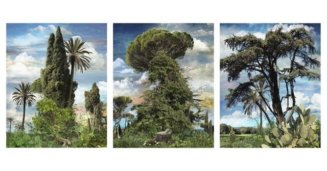 Una creador murciano protagoniza la muestra ROMA AKADEMIA - 1, Foto 1