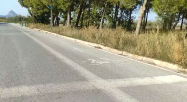 VOX Cieza solicita mayor compromiso con el carril bici del municipio - 1, Foto 1